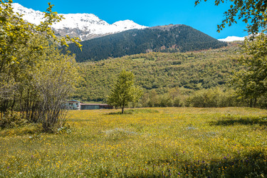 Similar image 13158715