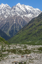 Similar image 13158716