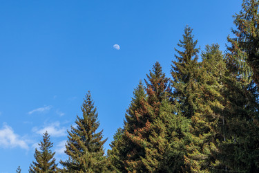 Similar image 13158719