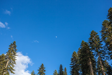 Similar image 13158720