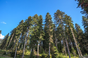 Similar image 13158721