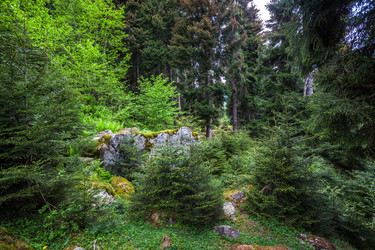 Similar image 13158723