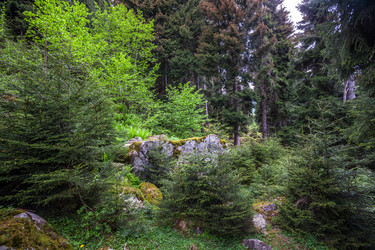 Similar image 13158725