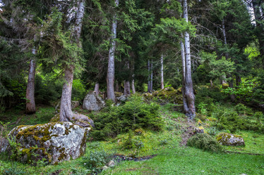 Similar image 13158726