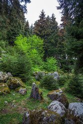 Similar image 13158727