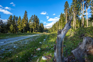 Similar image 13158728