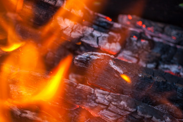 Similar image 13163464