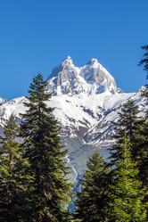 Similar image 13163486