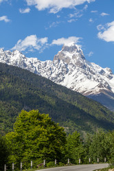 Similar image 13163497