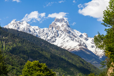 Similar image 13163498