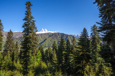 Similar image 13169032