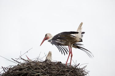 Similar image 13188948