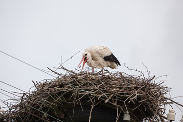 Similar image 13189007