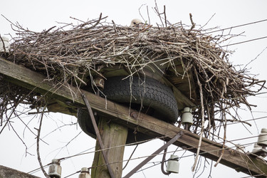 Similar image 13188979