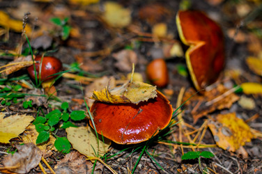 Similar image 13180134