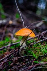 Similar image 13180163