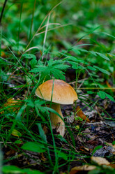 Similar image 13180164