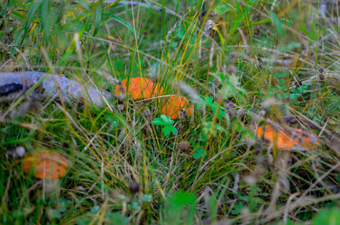 Similar image 13180165