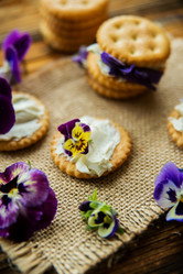 Similar image 13180227