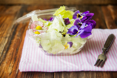 Similar image 13180284