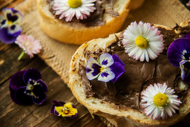 Similar image 13180305