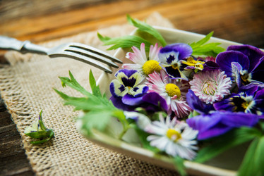 Similar image 13180339