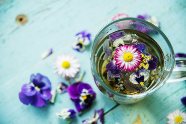 Similar image 13180426