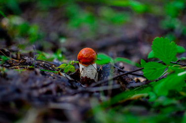 Similar image 13180502