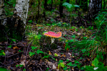 Similar image 13180503