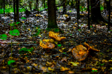 Similar image 13180563