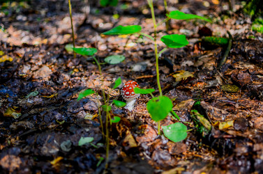 Similar image 13180583