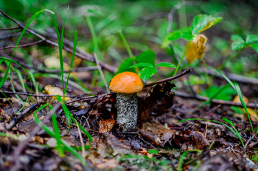 Similar image 13180584