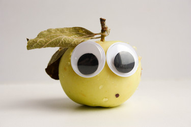 Similar image 13154310