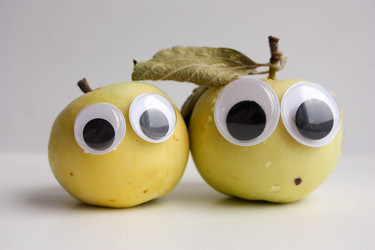 Similar image 13154311