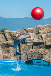 Similar image 13169043