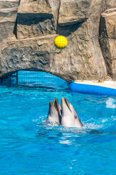 Similar image 13169044