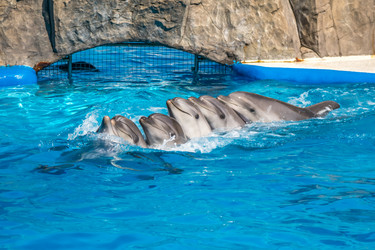 Similar image 13169046