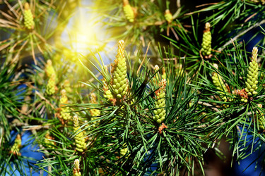 Similar image 13186011