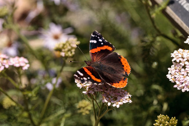 Similar image 13170290