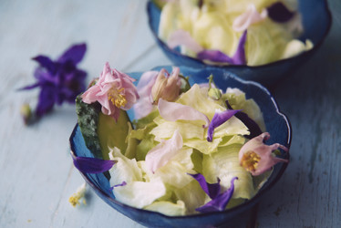 Similar image 13179838