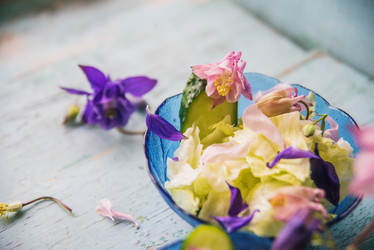 Similar image 13179856