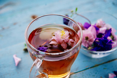 Similar image 13180056