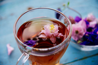 Similar image 13180075