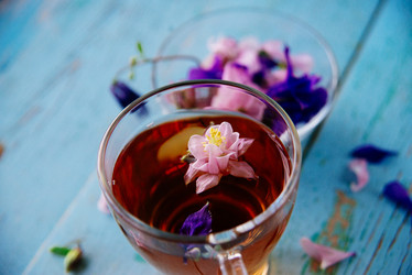 Similar image 13180077