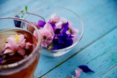 Similar image 13180079