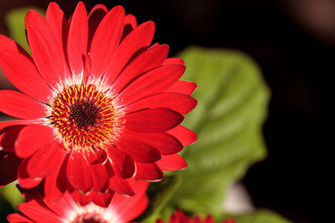 Similar image 13154246