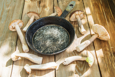 Similar image 13180734