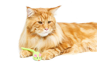 Similar image 13183165