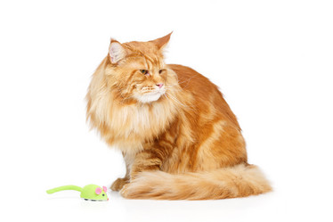 Similar image 13183324