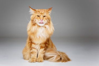 Similar image 13183423